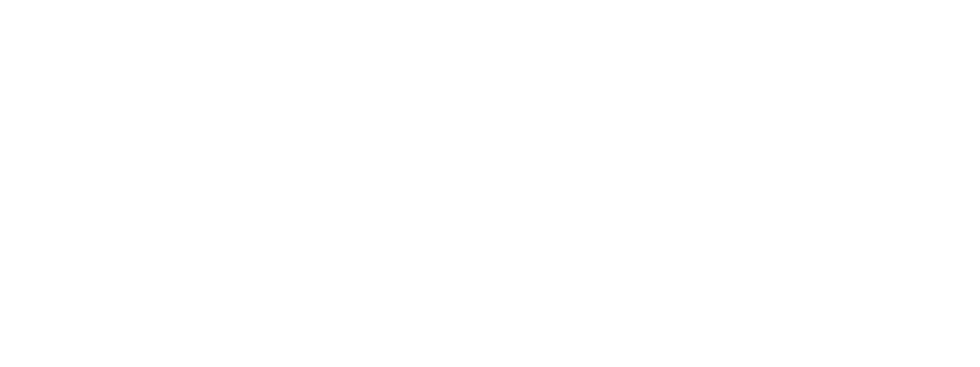 logo MSD white